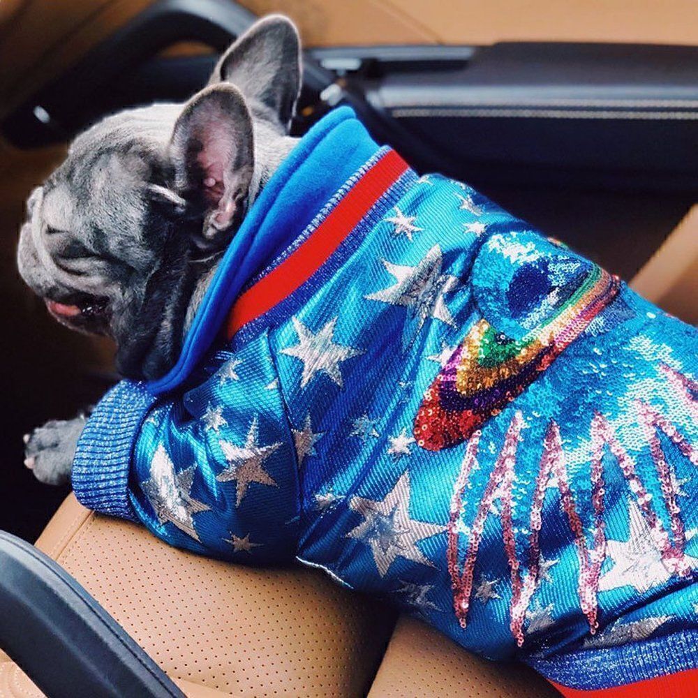 Fashion Design pet dog cat coat,Funny Sequin Flashy Party clothes for pet - Picture 2 of 13
